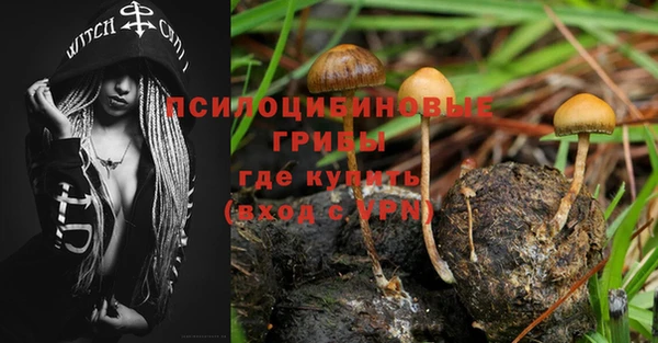 кокс Кинешма